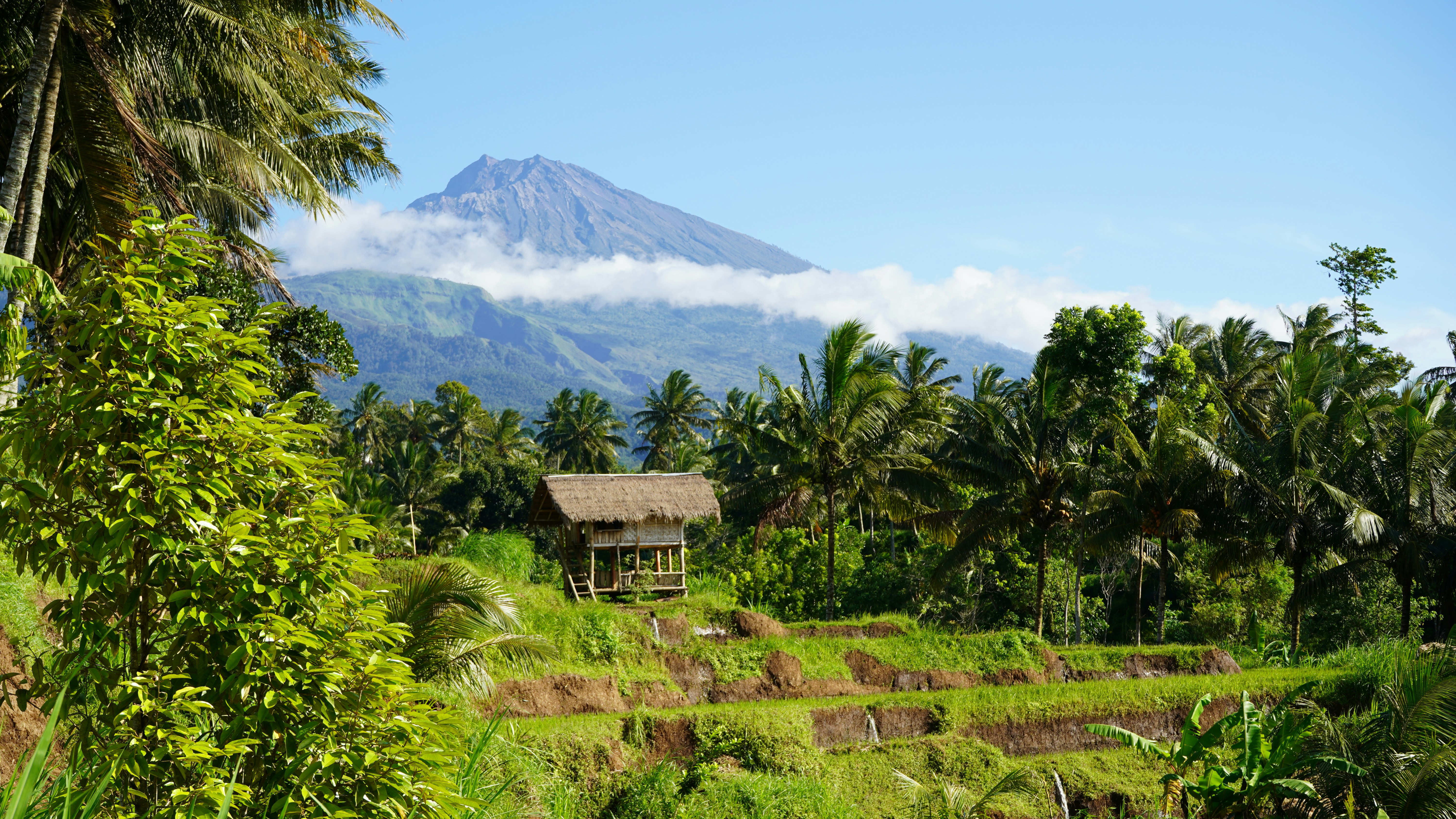 Tetebatu Tour